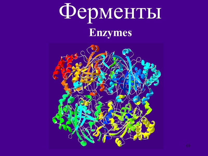69 Ферменты Enzymes